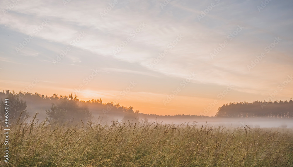 Early morning fog in rural environment Early morning fog in rural environment