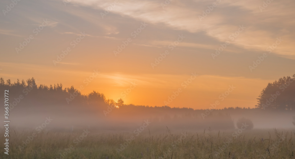 Fototapeta premium Early morning fog in rural environment