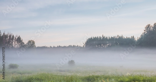 Early morning fog in rural environment