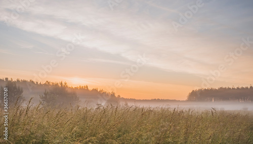 Early morning fog in rural environment