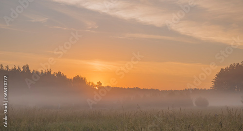 Early morning fog in rural environment