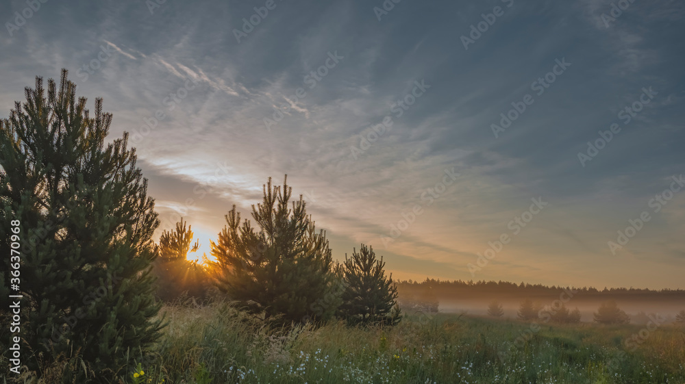 Early morning fog in rural environment Early morning fog in rural environment