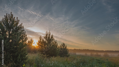 Early morning fog in rural environment