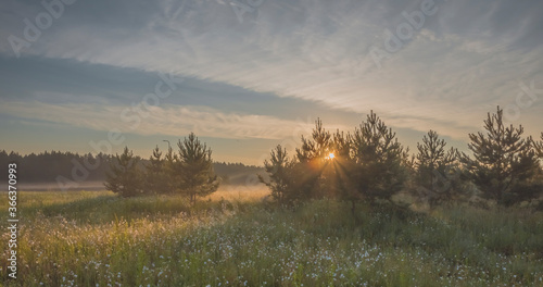 Early morning fog in rural environment