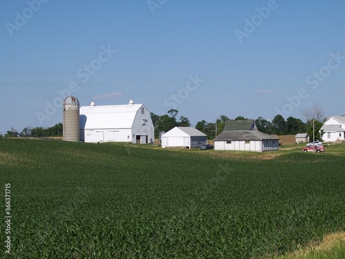 Minnesota rural farmland and fields