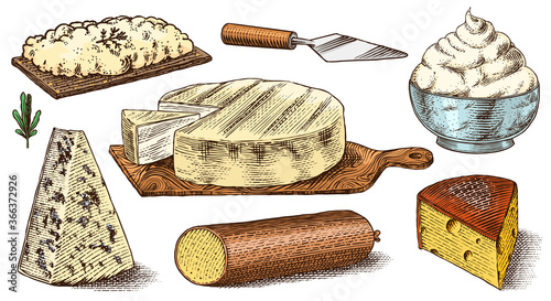 Cheese set. Slices of Mascarpone Bleu de Gex Edam Camembert Mozzarella for market or grocery store. Cheeseboard and Fresh organic milk. Vector Engraved hand drawn sketch for label, poster or menu.