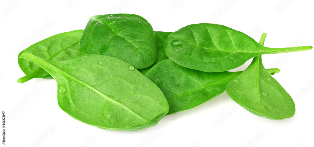 spinach leaves isolate on white background. Healthy food. spinach leaves isolate on white background. Healthy food.