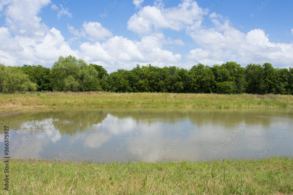 a storm water basin surrounded by grass and trees