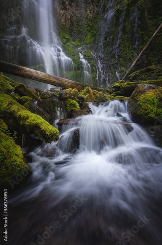 Waterfall in Oregon at Proxy Falls