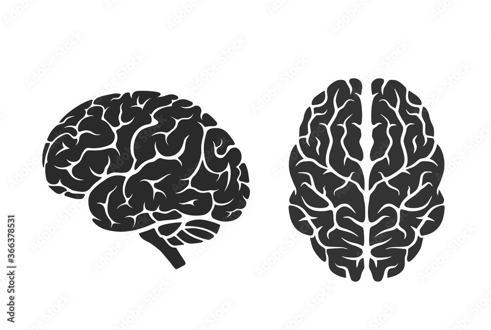brain icons. side and top view. mind, intelligence, psychology and neurology symbol brain icons. side and top view. mind, intelligence, psychology and neurology symbol