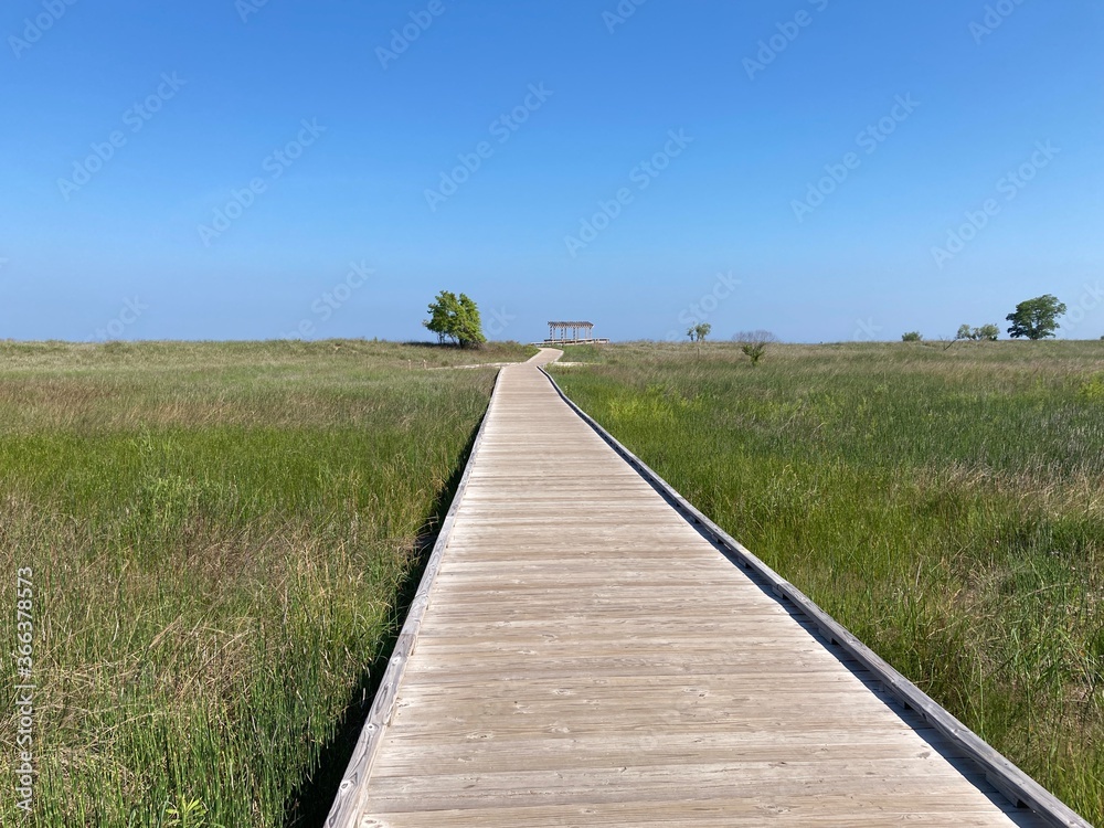 Lake Erie Boardwalk Surrounded by Green Beach Grass and Blue Sky