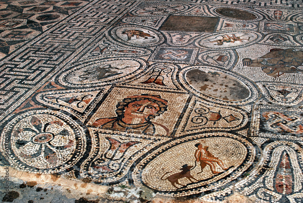 Ancient Roman Mosaic Floor
