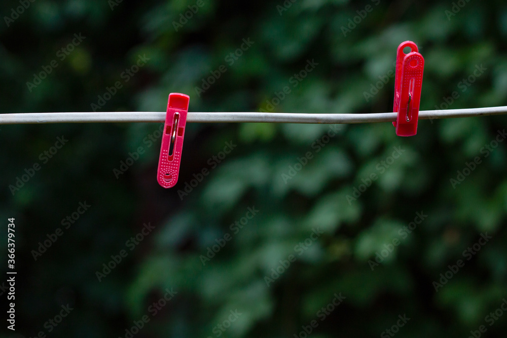 Two red clothespins for drying clothes on a white wire, against a background of green leaves Two red clothespins for drying clothes on a white wire, against a background of green leaves