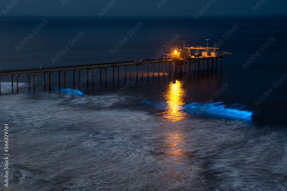 Fototapeta premium Scripps Pier at night watching the bioluminescence 