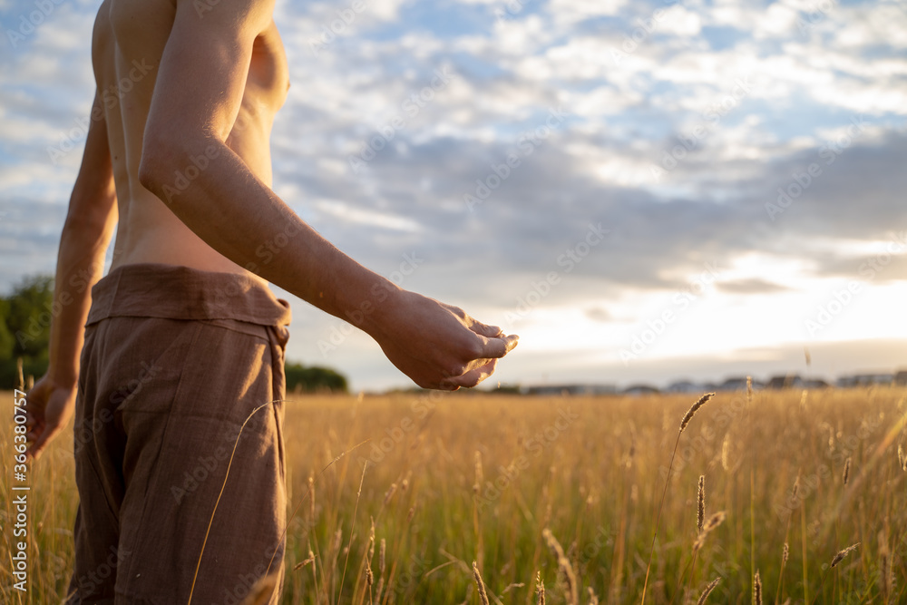 Midsection of shirtless man standing amidst plants on landscape against sky in forest