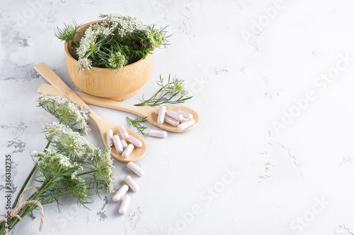 Alternative medicine, naturopathy and dietary supplement. Herbal remedy in capsules and plants.