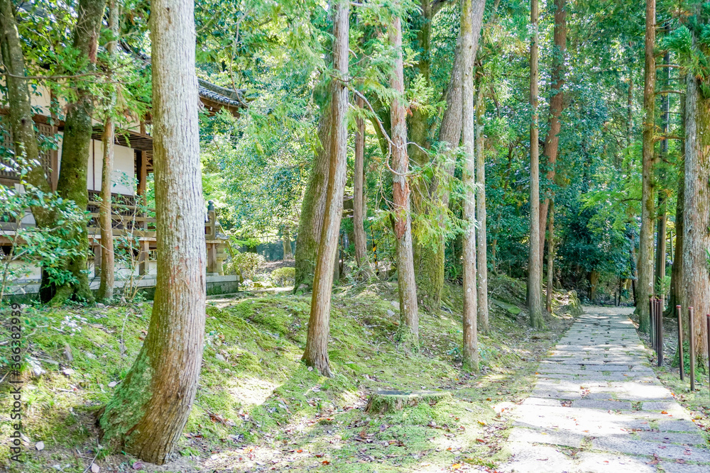 京都 醍醐寺 京都 醍醐寺