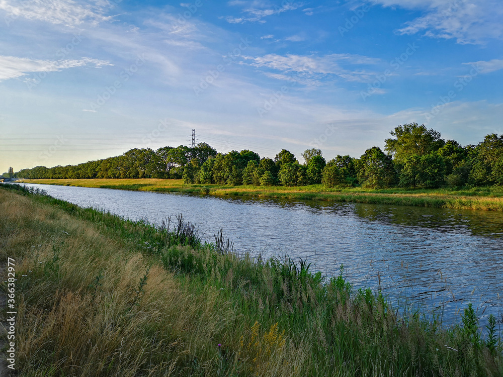 Coast near Odra river in Wroclaw with bushes and trees around