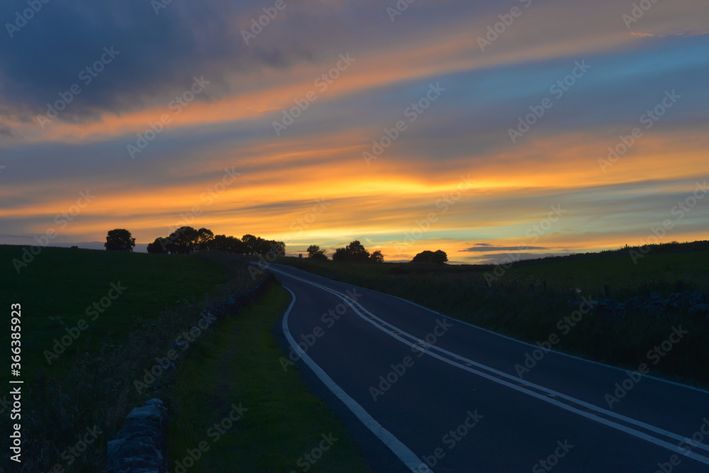 Dark blue road leads to a thicket of trees under a strong orange sunset.