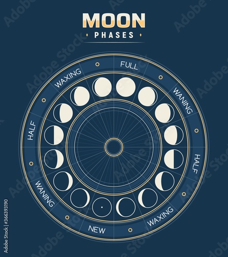 Moon phases, vector calendar of lunar cycles new, waning, half, full and waxing. Astronomy or astrology science, moon phases or stages inside of circle with separated segments. Earth satellite poster