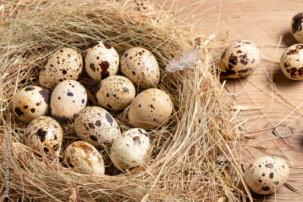 Several quail eggs in a decorative nest made of straw on a wooden table close-up, flatlay Several quail eggs in a decorative nest made of straw on a wooden table close-up, flatlay