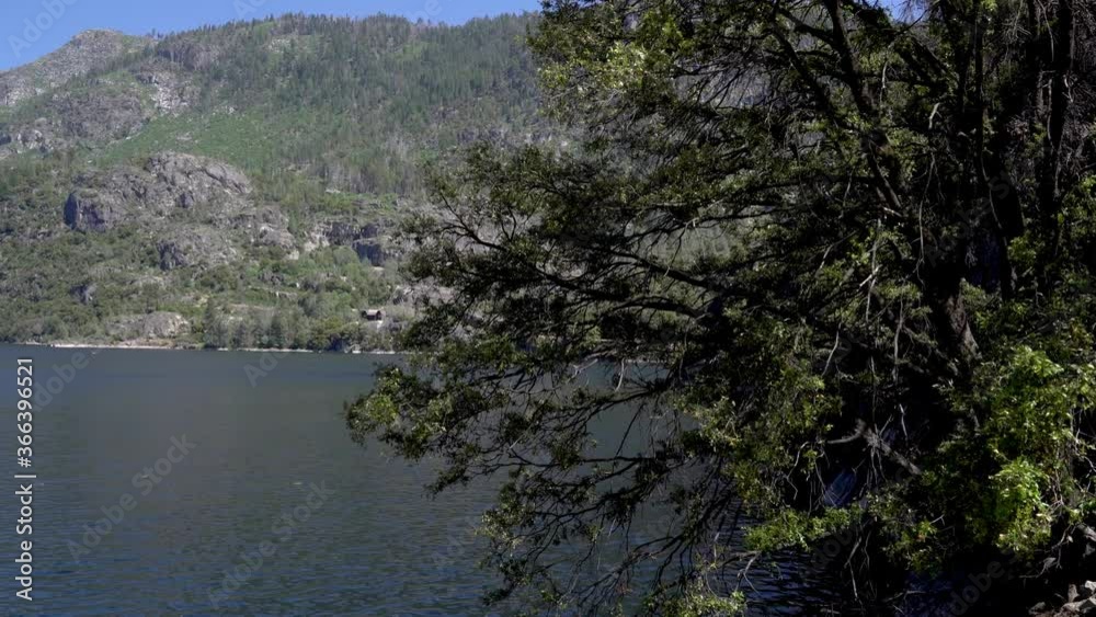 elegant asian female backpacker hiking walking along way surrounding lake mountain. young girl traveler visiting hetch hetchy reservoir in yosemite national park. clean water from o shaughnessy dam elegant asian female backpacker hiking walking along way surrounding lake mountain. young girl traveler visiting hetch hetchy reservoir in yosemite national park. clean water from o shaughnessy dam