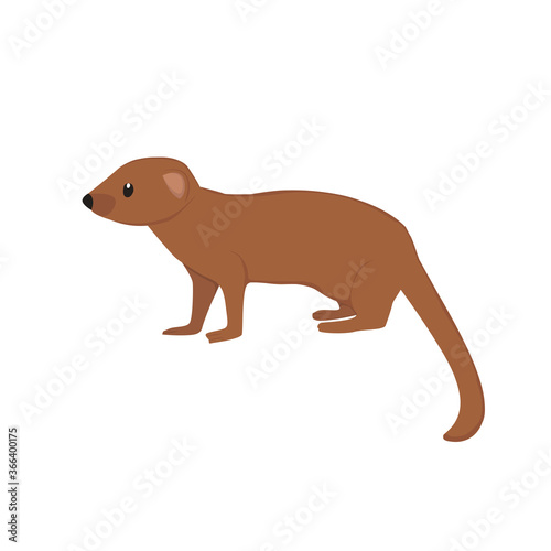 Mongoose Illustration