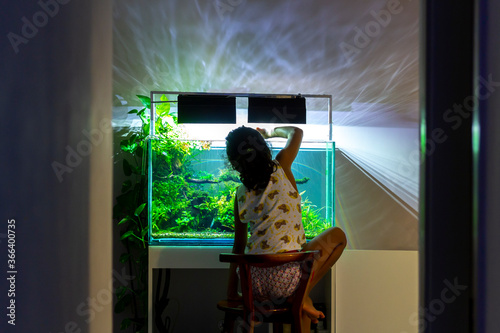 kid playing freshwater aquarium  at night