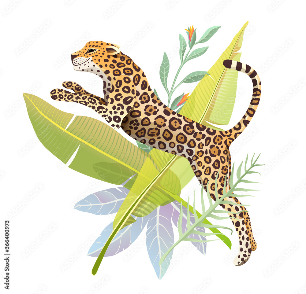 Obraz premium Realistic hand drawn Jaguar jump in jungle forest vector isolated design for t shirt print or poster. Exotic jungle and rainforest nature big wild cat panther illustration. Isolated animal design.