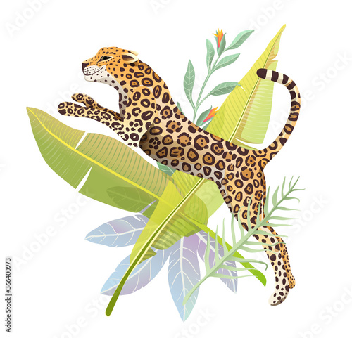 Realistic hand drawn Jaguar jump in jungle forest vector isolated design for t shirt print or poster. Exotic jungle and rainforest nature big wild cat panther illustration. Isolated animal design.