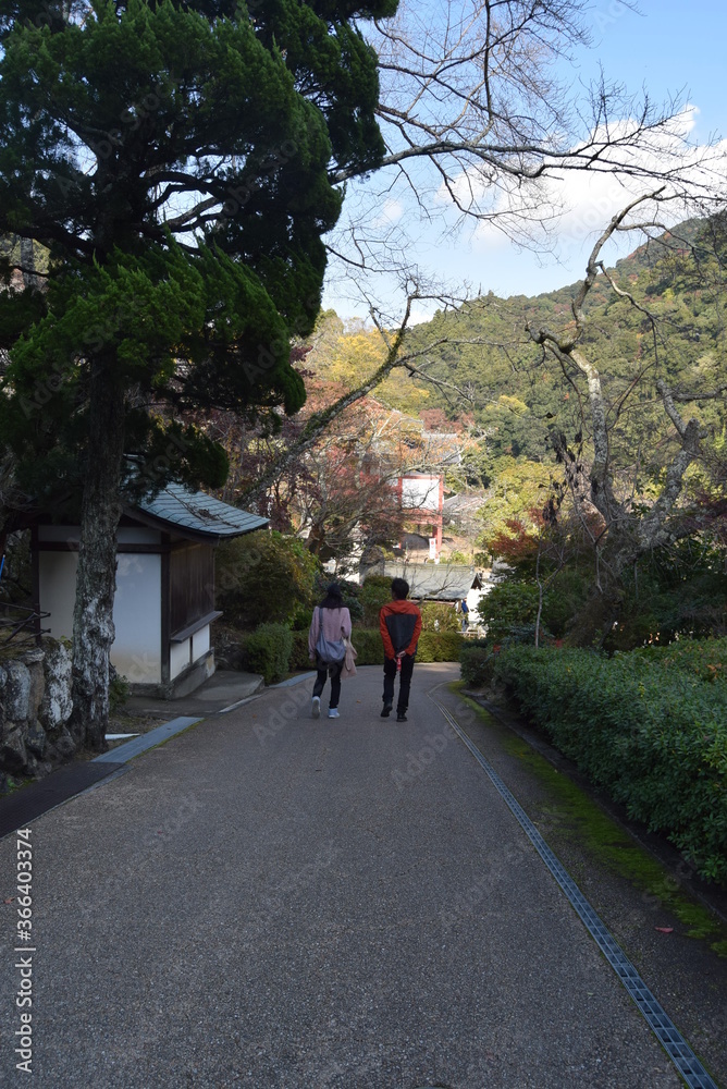 Fototapeta premium 長谷寺路地裏