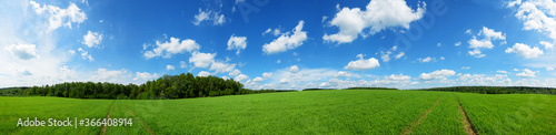 Extra wide panorama of green hills and trees on the edge of field.Sunny spring or summer panoramic rural landscape.