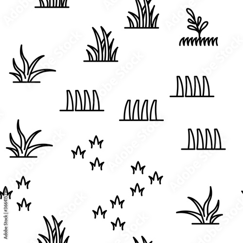 Grass Meadow Plant Vector Seamless Pattern Thin Line Illustration