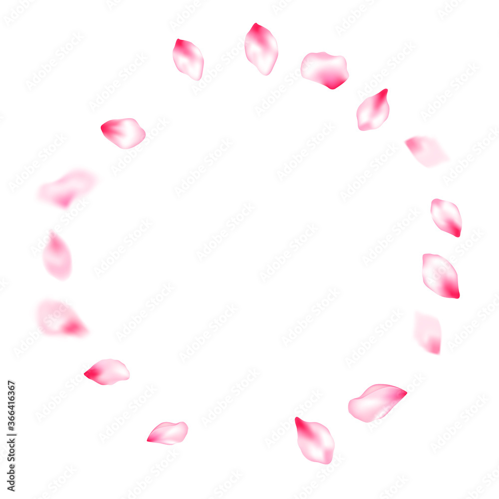 Spring tree flowers parts, airy flying petals Spring tree flowers parts, airy flying petals