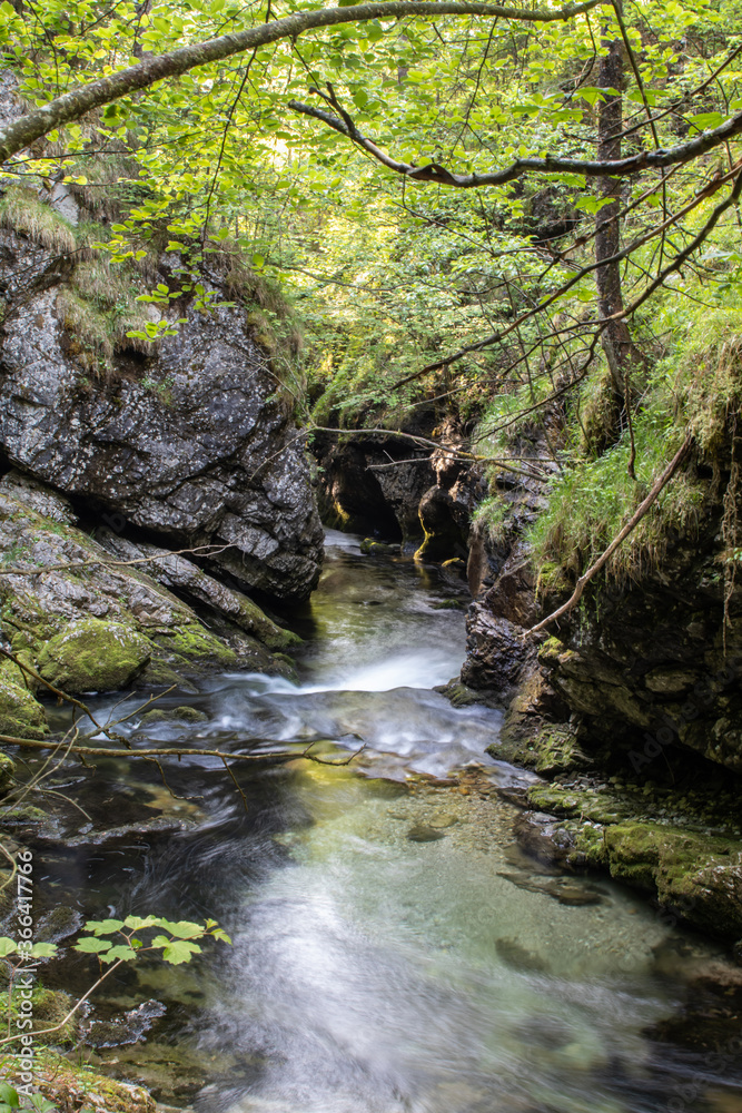 Sommerlicher Weissbach und Weissbachschlucht bei Schneizlreuth im Berchtesgadener Land, Bayern Sommerlicher Weissbach und Weissbachschlucht bei Schneizlreuth im Berchtesgadener Land, Bayern