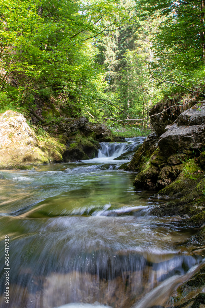 Sommerlicher Weissbach und Weissbachschlucht bei Schneizlreuth im Berchtesgadener Land, Bayern Sommerlicher Weissbach und Weissbachschlucht bei Schneizlreuth im Berchtesgadener Land, Bayern