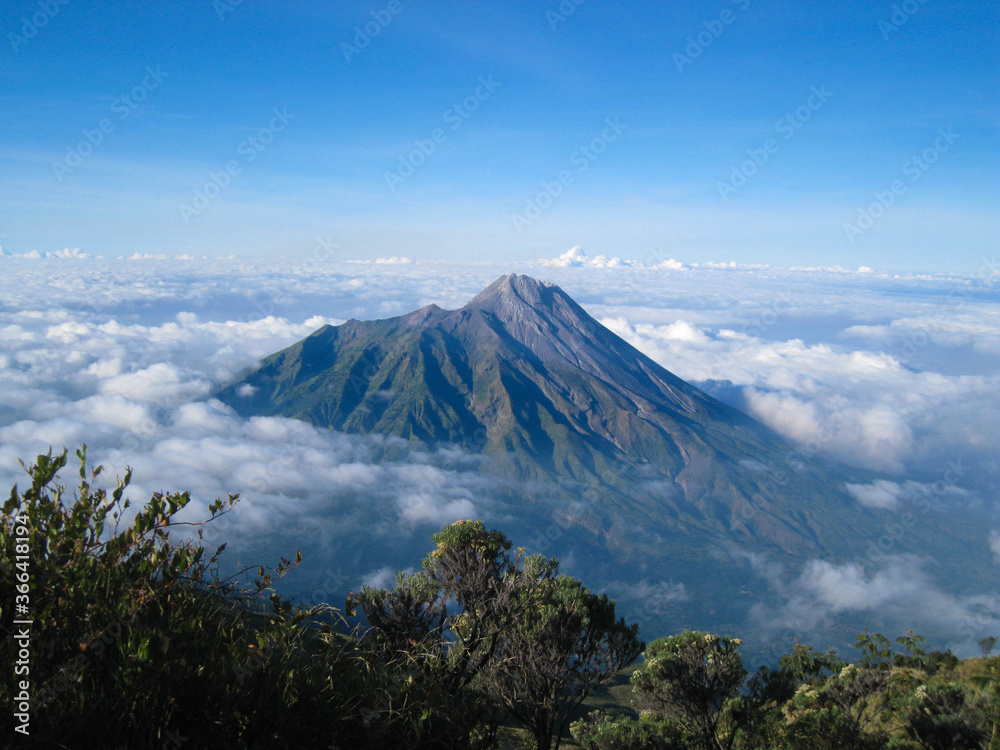 The landscape of Mount Merapi in Central Java, Indonesia, with a background of blue sky, edelweiss trees and clouds The landscape of Mount Merapi in Central Java, Indonesia, with a background of blue sky, edelweiss trees and clouds