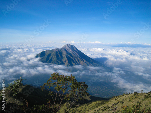 The landscape of Mount Merapi in Central Java, Indonesia, with a background of blue sky, edelweiss trees and clouds