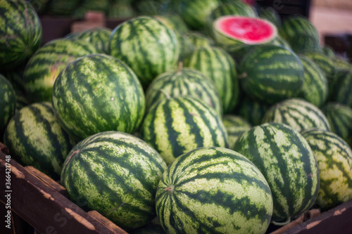 Watermelons are sold at the farmers ' market. Fresh watermelons close-up. Selective and soft focus. The season of watermelons.