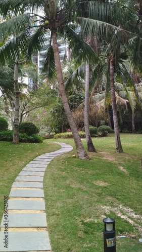 A beautiful park in China. Clean paths and green palms and trees around. © saharovvv