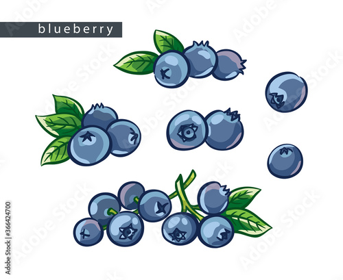 sketch_blueberry_set