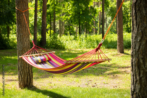 Beautiful landscape with hammock in the summer garden, sunny day. Selective focus photo