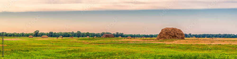 Picturesque panoramic summer landscape with beveled meadow and haystacks in cloudy morning. Hay harvest at farmland. Beautiful agricultural background
