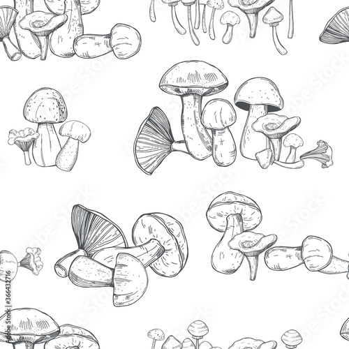 Hand drawn mushrooms on white background. Vector seamless pattern