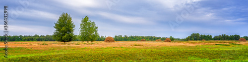 Picturesque summer landscape with beveled meadow and haystacks in cloudy morning. Hay harvest at farmland. Beautiful agricultural background