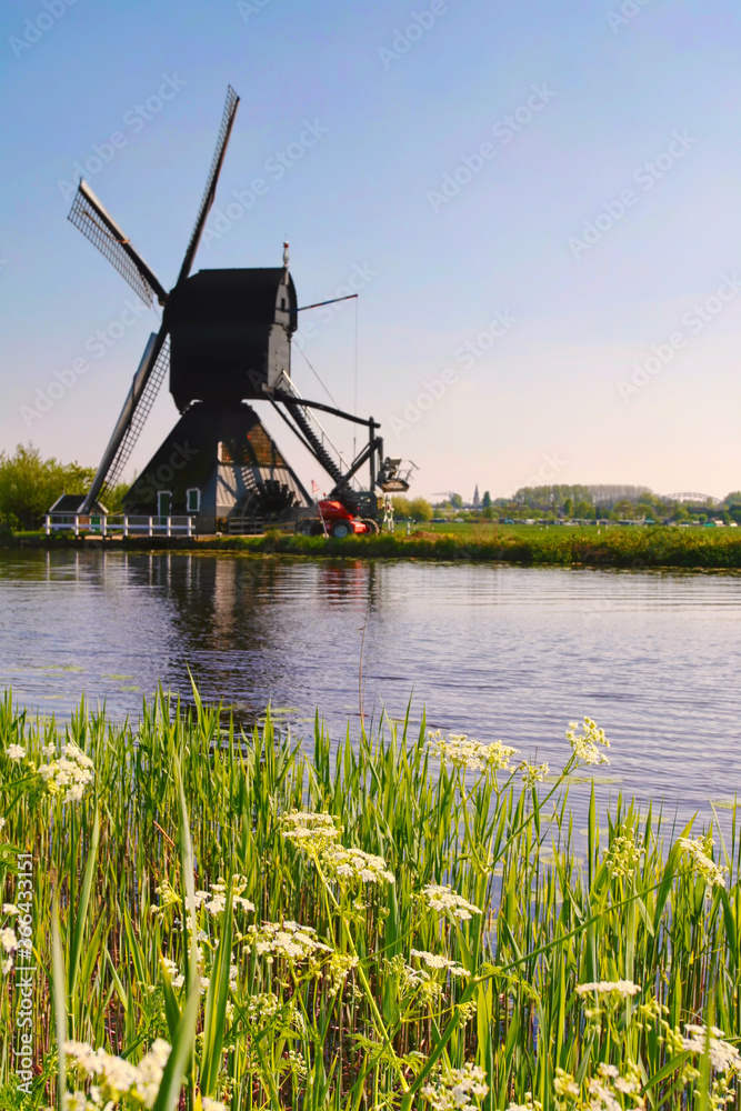 Fototapeta premium dutch windmill in the netherlands