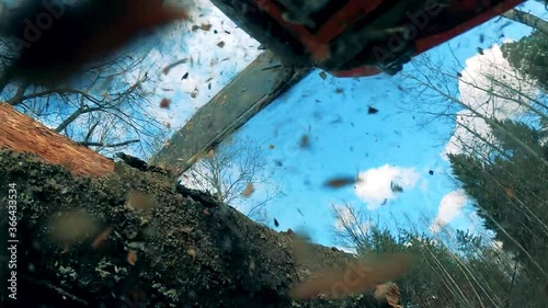 Powersaw is cutting woods with lots of sawdust photo