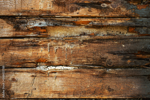 Grunge background with rotted very old boards