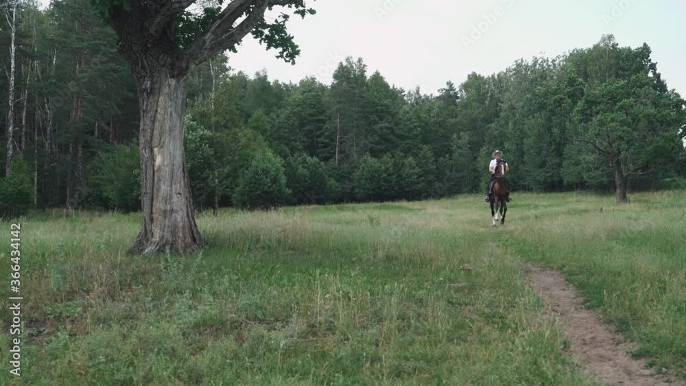 Cowboy, man with daughter rides a horse at a gallop in clearing near the forest, walk on horseback, father rides daughter on a horse. Cowboy, man with daughter rides a horse at a gallop in clearing near the forest, walk on horseback, father rides daughter on a horse.