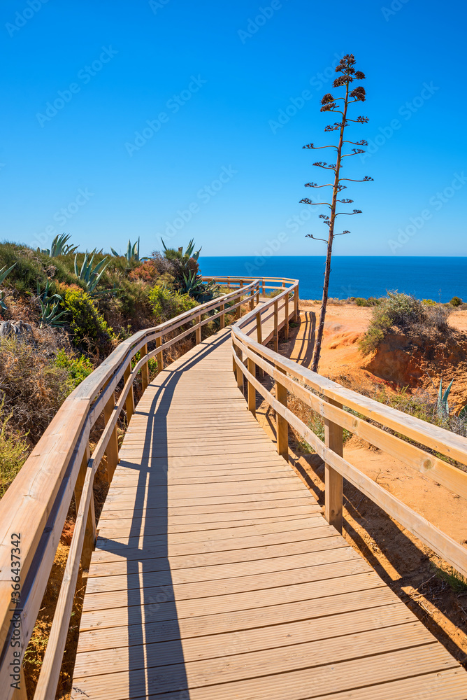 Fototapeta premium wooden boardwalk at mediterranean coast lagos, with agave plant